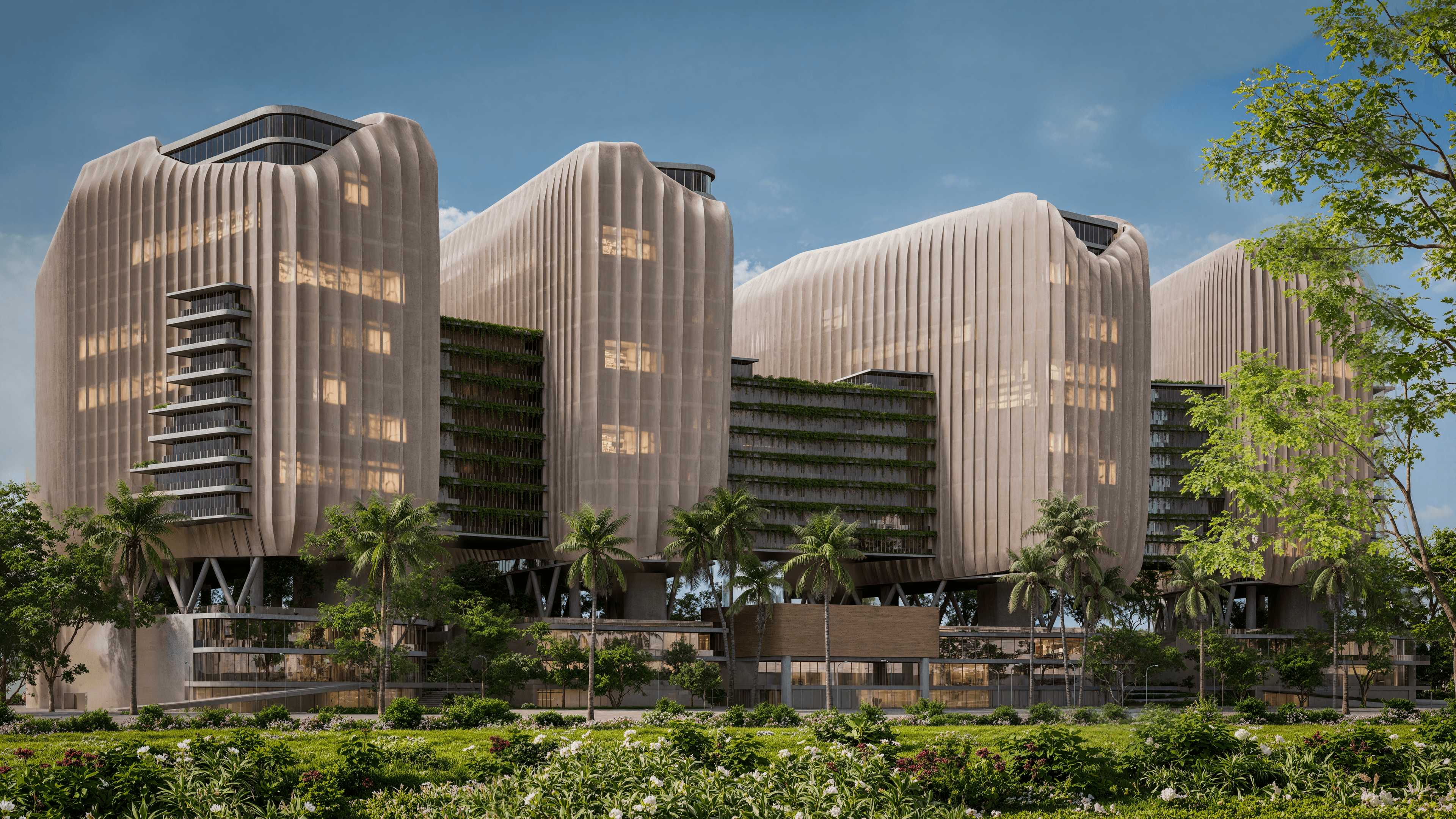 Sohob Competition view 4