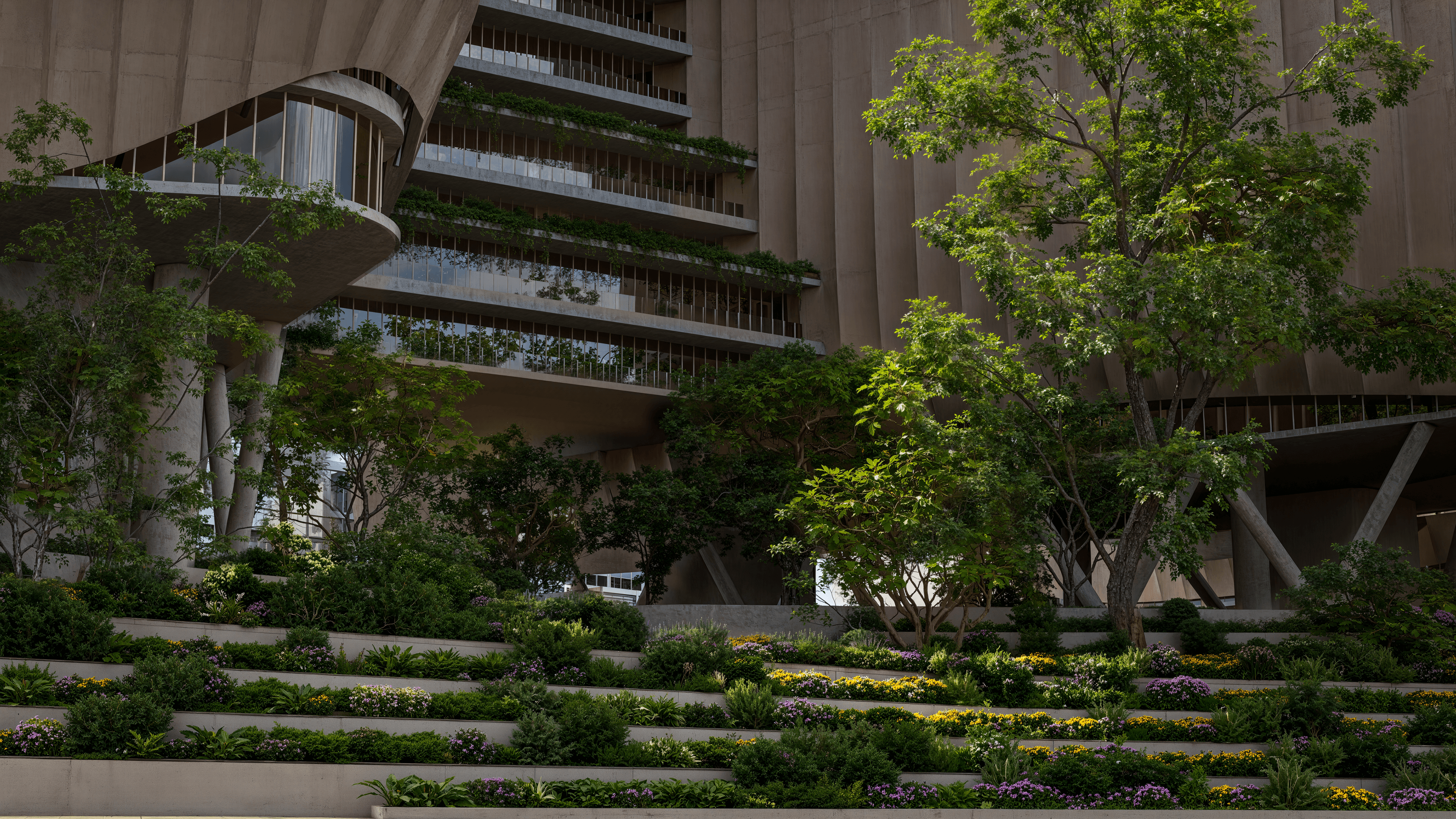 Sohob Competition view 6